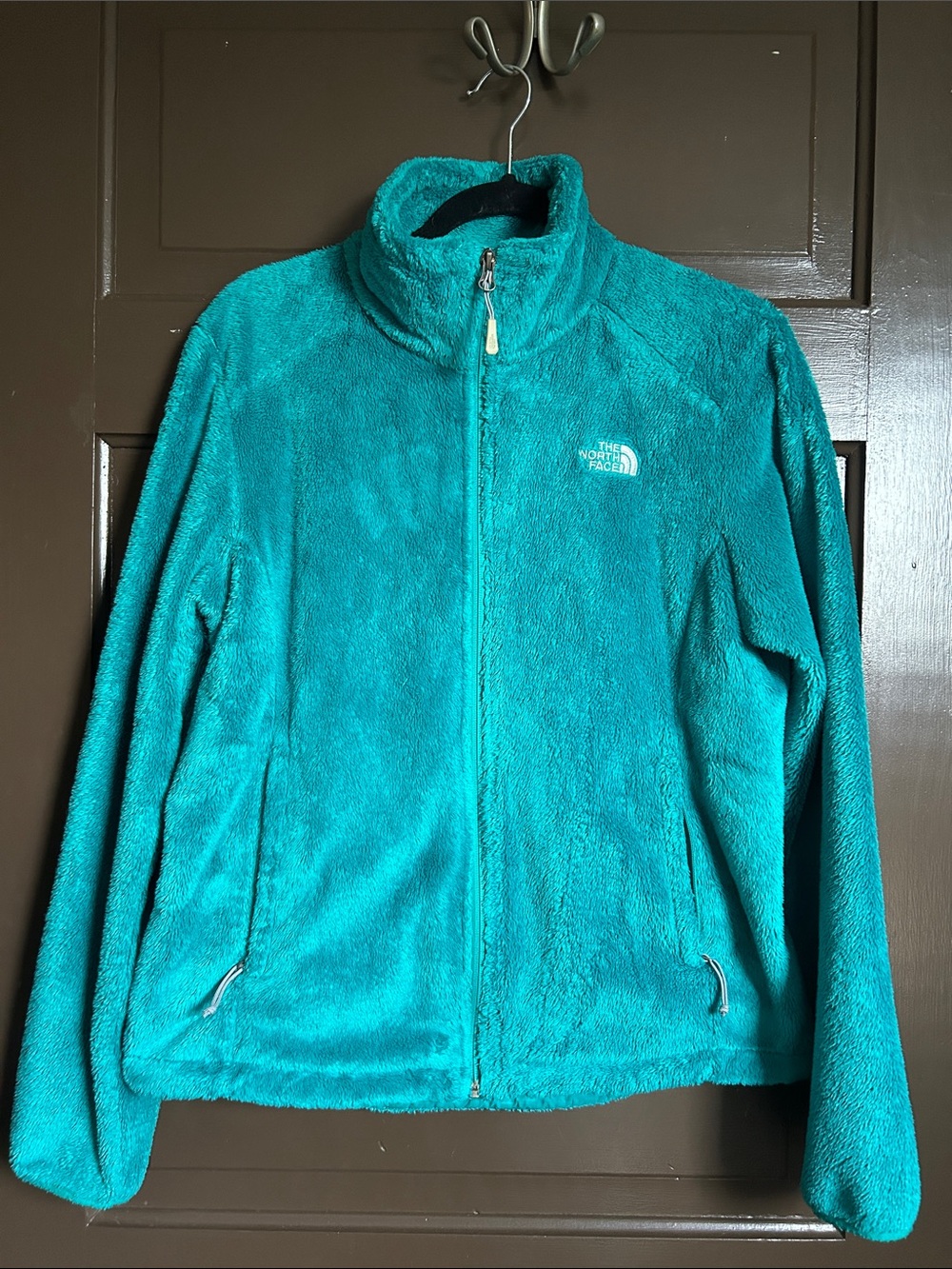 The North Face Teal Plush Full-Zip Fleece Jacket